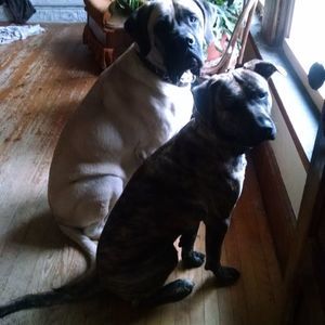 Meet your Posher, Marlo